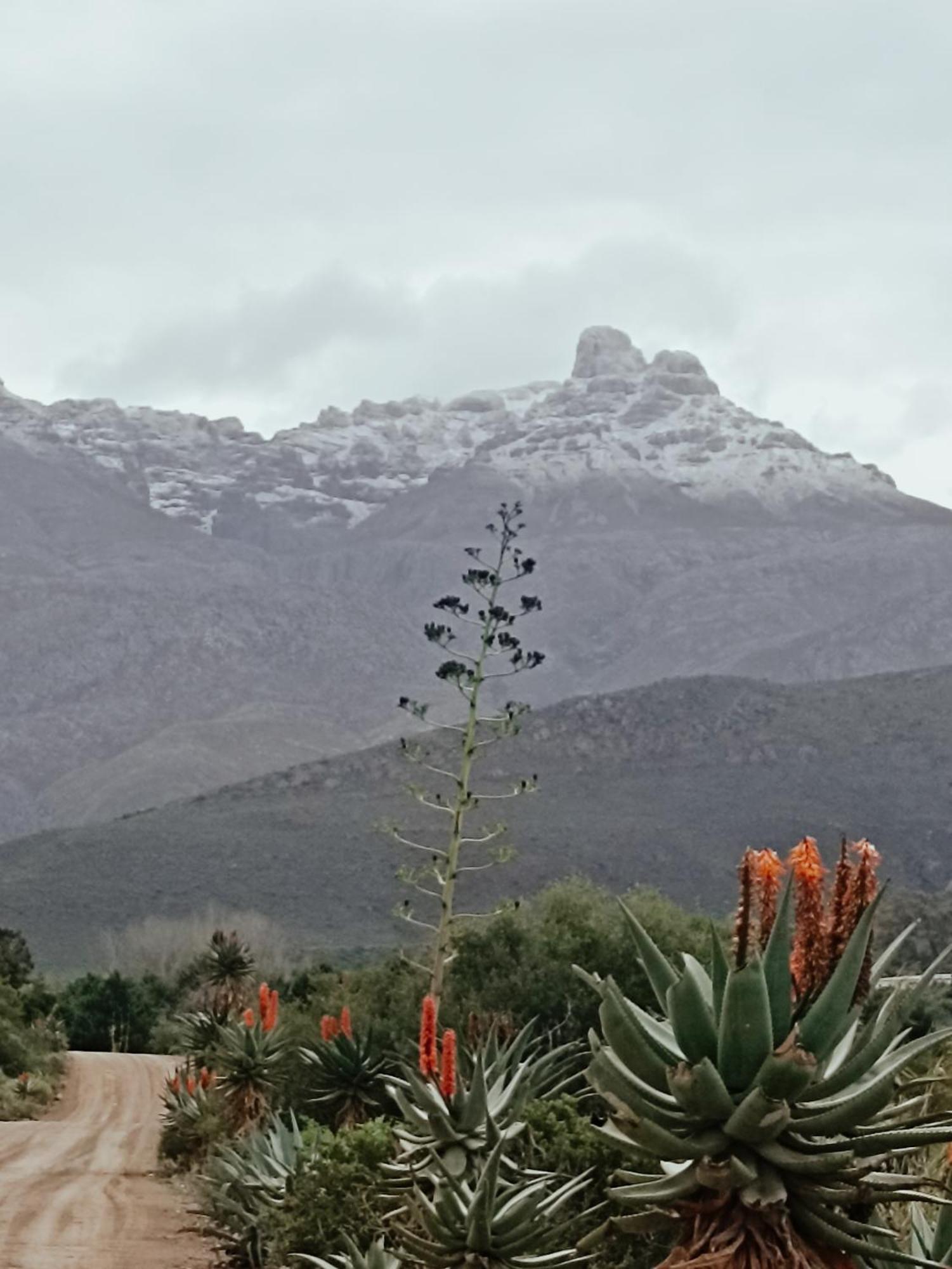 Sipreslaan Selfsorg Gastehuis Hotell Ladismith Exteriör bild